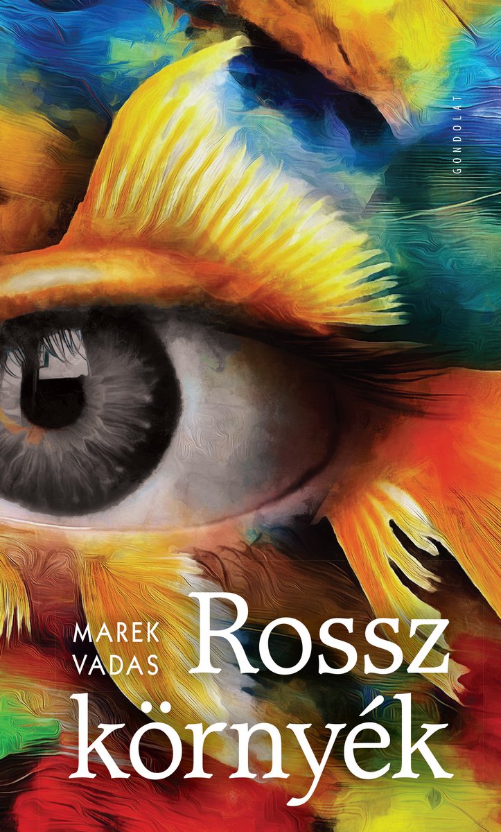 Rossz környék