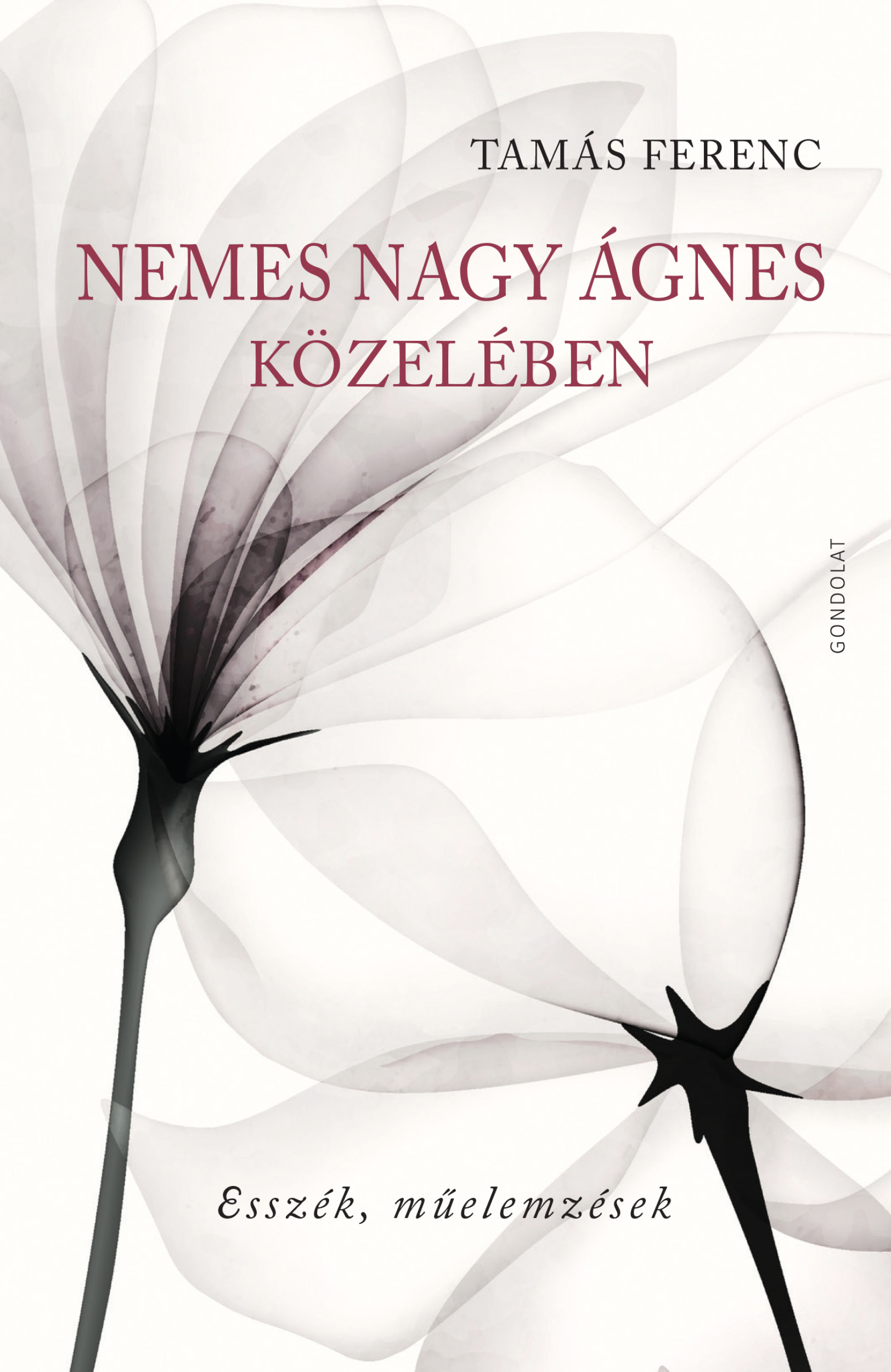 Nemes Nagy Ágnes közelében. Esszék, műelemzések
